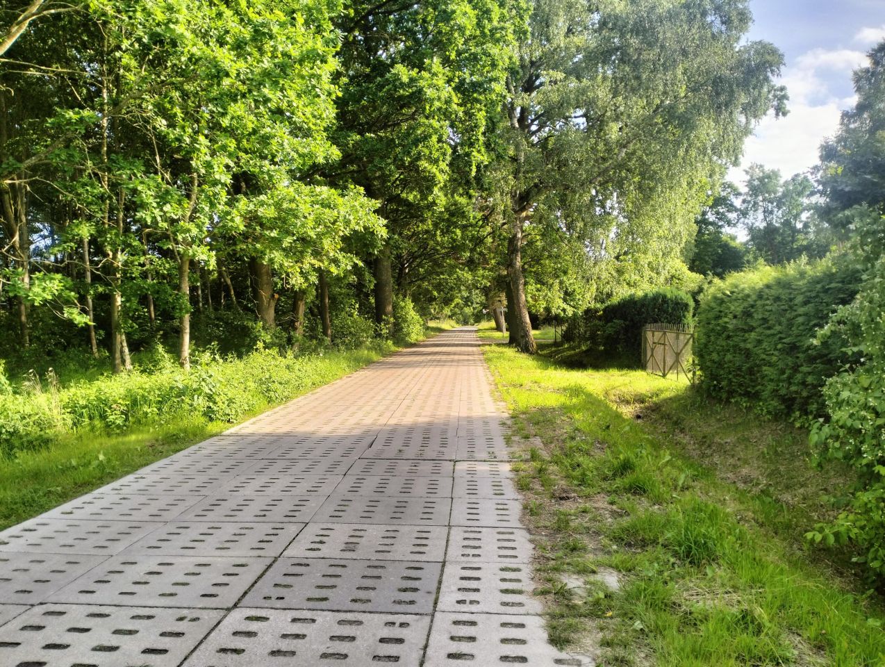 Działka rolno-budowlana Ładzin, .... Zdjęcie 7