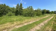 Działka rolno-budowlana Buczek. Zdjęcie 1