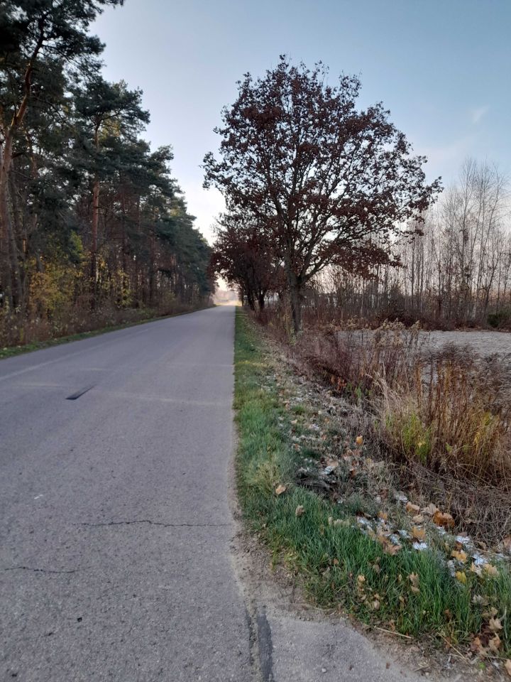 Działka budowlana Skarżyn. Zdjęcie 5