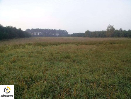Działka inna Ciechocinek