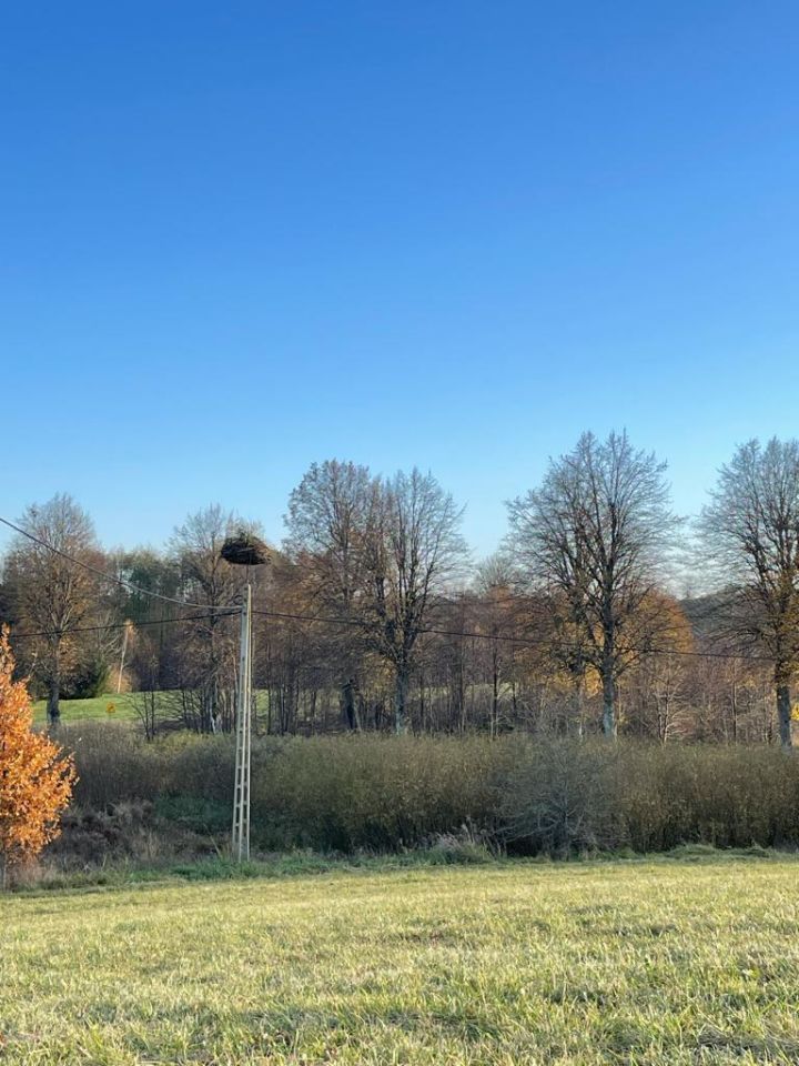 Działka budowlana Talki. Zdjęcie 7