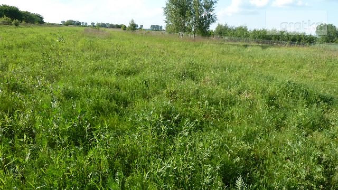 Działka rolna Gassy. Zdjęcie 3