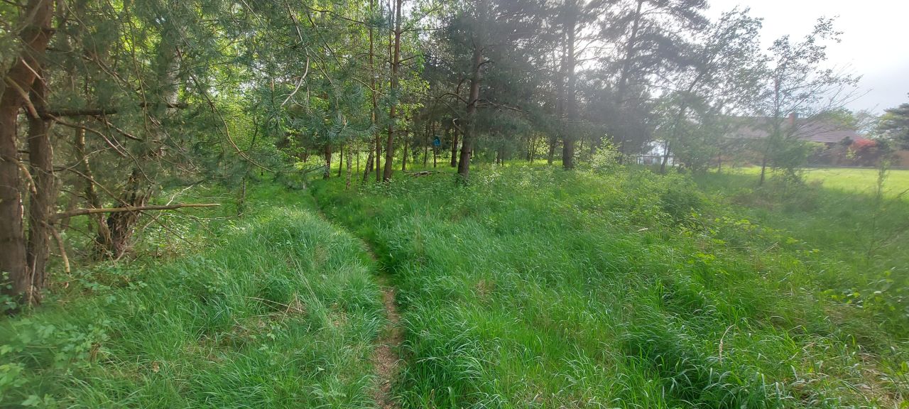 Działka budowlana Kaźmierzów. Zdjęcie 5