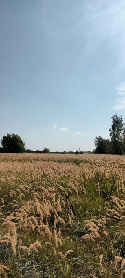 Działka rolno-budowlana Chynów, ul. Wspólna. Zdjęcie 10