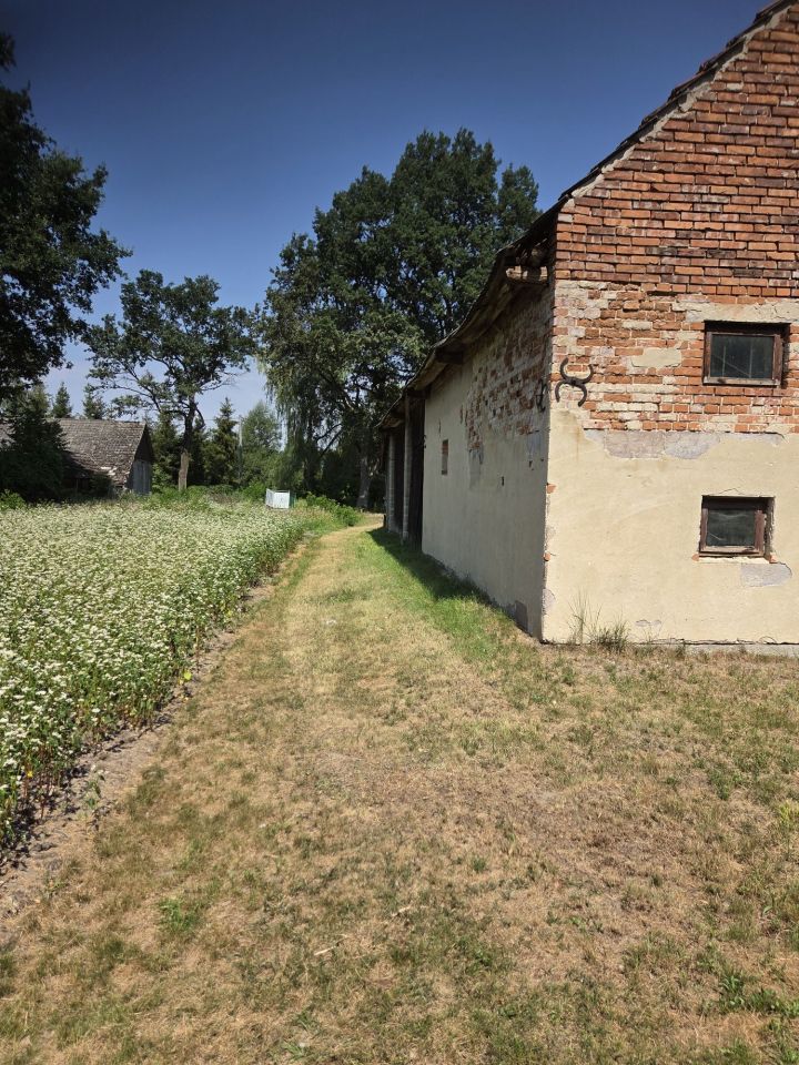 Działka budowlana Buczków. Zdjęcie 6