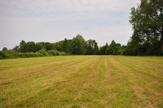 Działka budowlana Piskornia. Zdjęcie 1