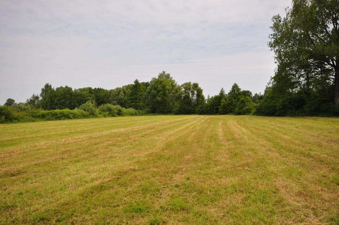 Działka budowlana Piskornia. Zdjęcie 1