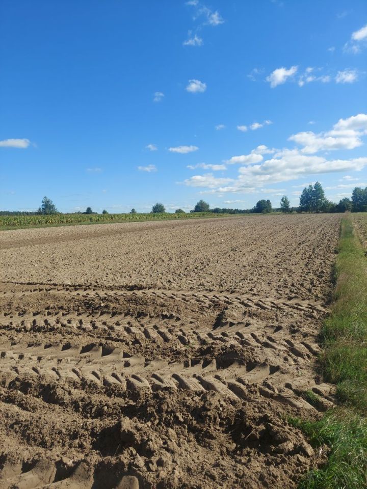 Działka rolna Chruśnice. Zdjęcie 2