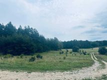 Działka rolno-budowlana Cierzpięty. Zdjęcie 4