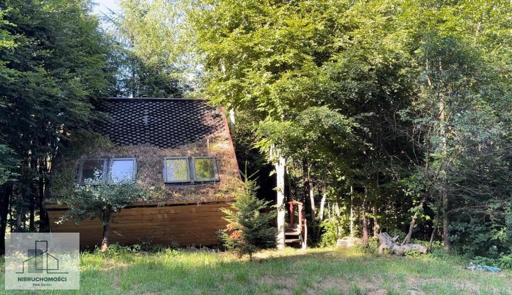 dom wolnostojący, 9 pokoi Czarna Górna. Zdjęcie 6
