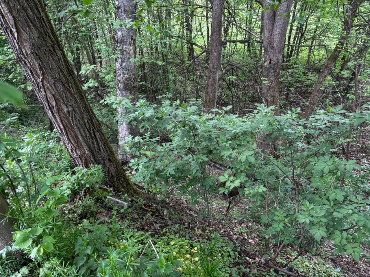Działka rolno-budowlana Żółków. Zdjęcie 4