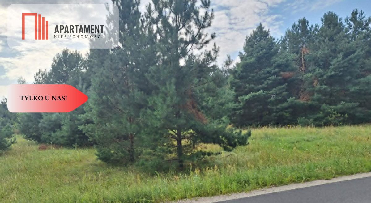 Działka budowlana Rozalinowo. Zdjęcie 8