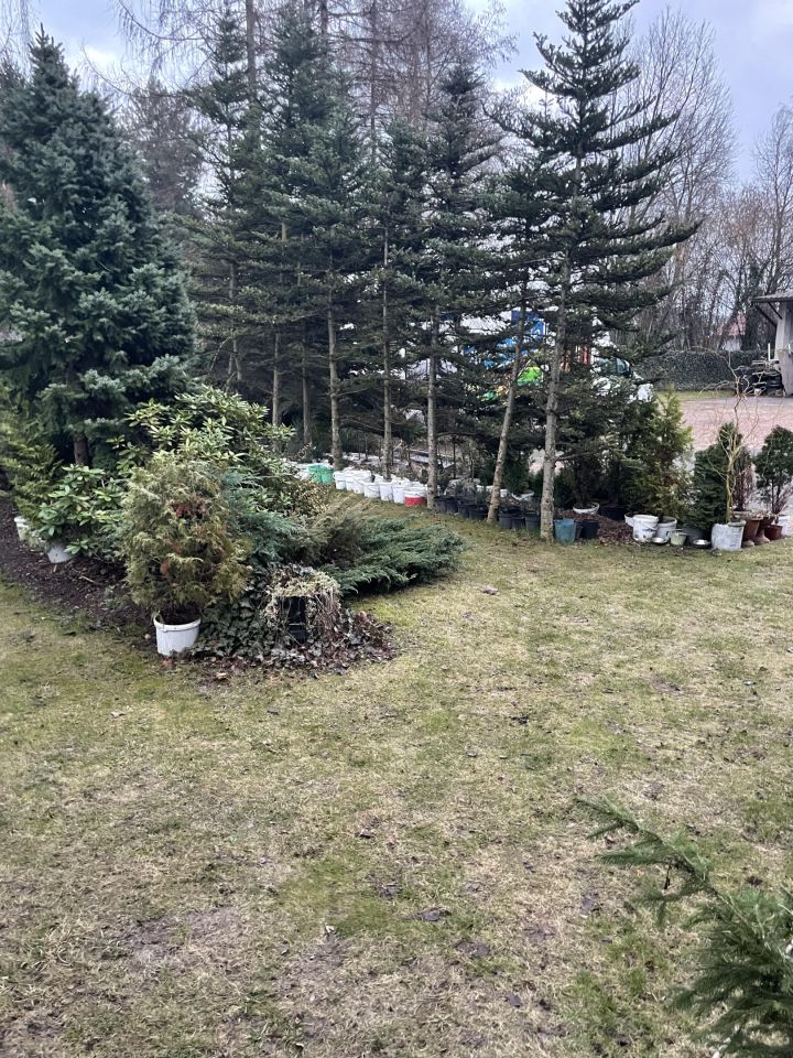 Nieruchomość komercyjna Łódź Widzew, ul. Brzezińska. Zdjęcie 7