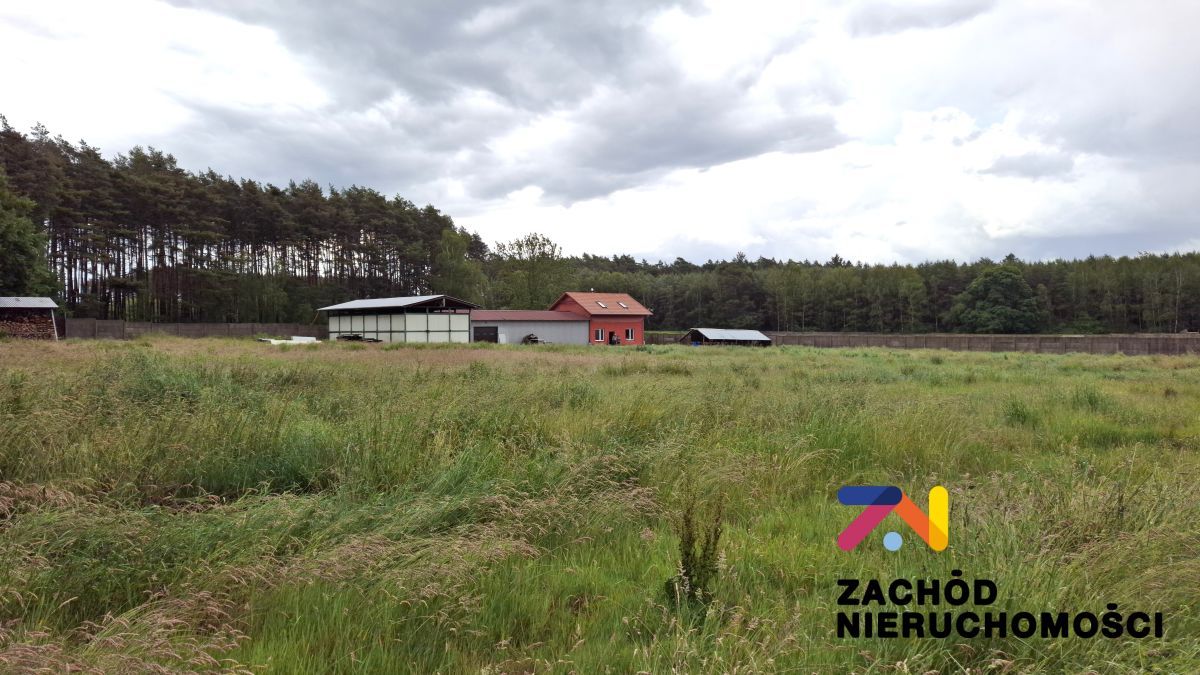 Hala/magazyn Zielona Góra. Zdjęcie 6