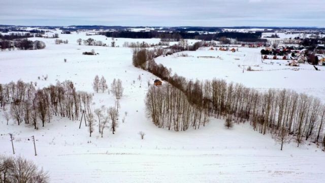 Działka budowlana Kozin. Zdjęcie 12