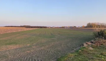 Działka na sprzedaż bez pośredników 
 
 Sanie - Widok 5