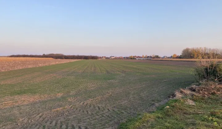 Działka inwestycyjna Szymanów