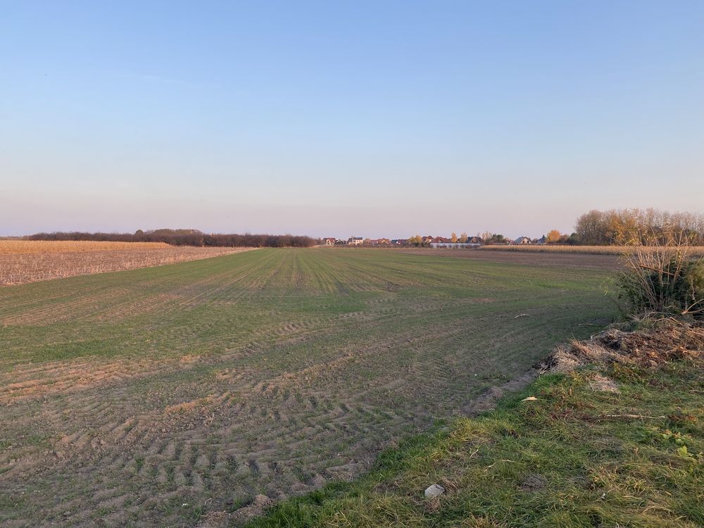 Działka inwestycyjna Szymanów. Zdjęcie 1