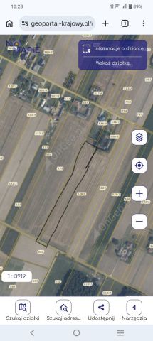 Działka rolna Górzno-Kolonia. Zdjęcie 1