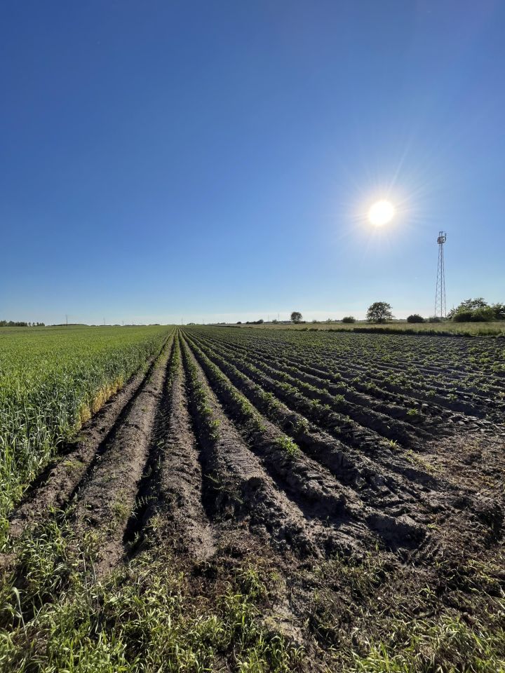 Działka rolna Bobrowiec, ul. Mazowiecka. Zdjęcie 1