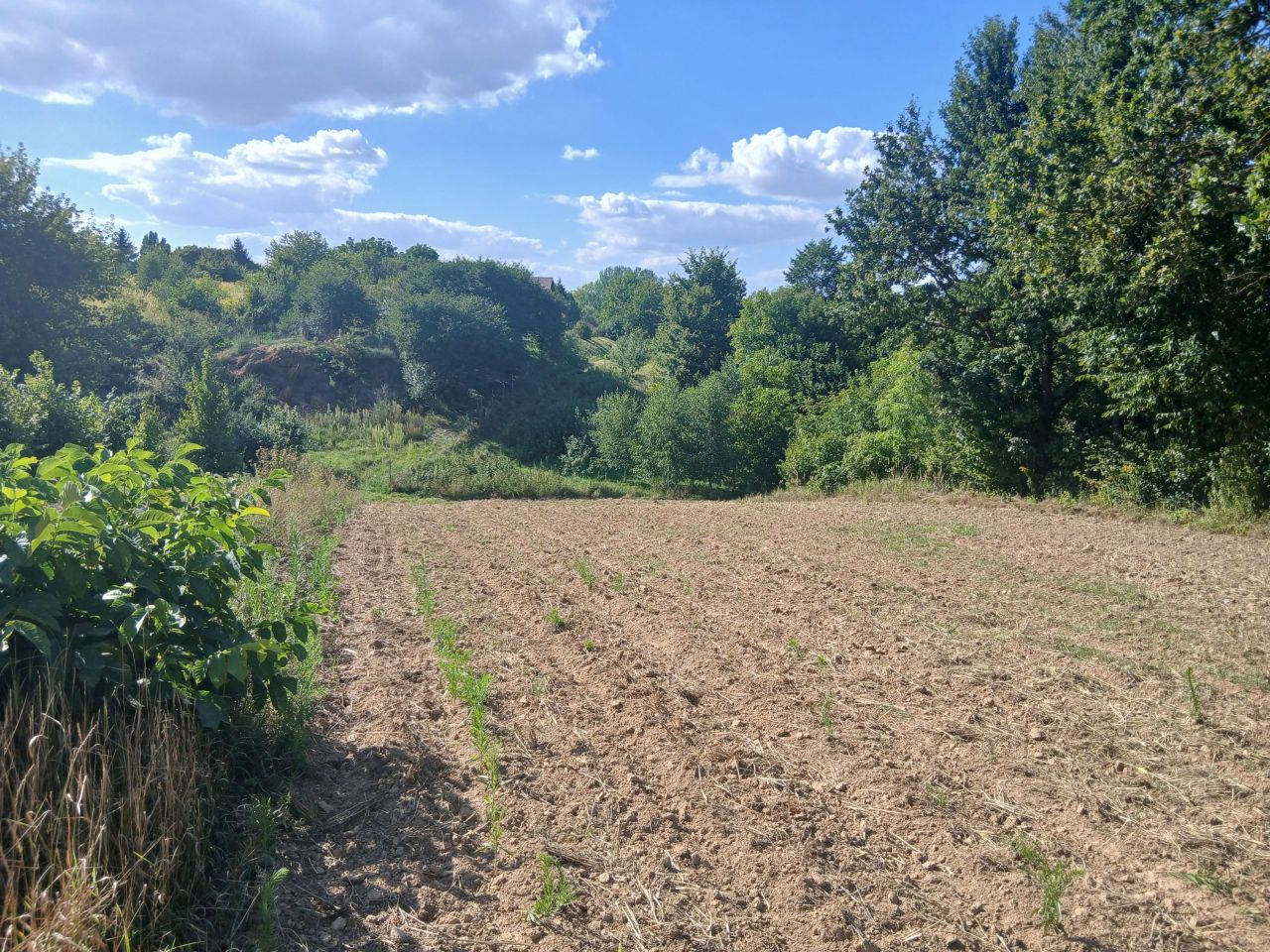 Działka rolno-budowlana Konopnica. Zdjęcie 9