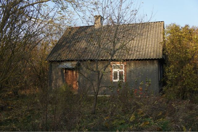 Działka rolno-budowlana Krzywośnity. Zdjęcie 1