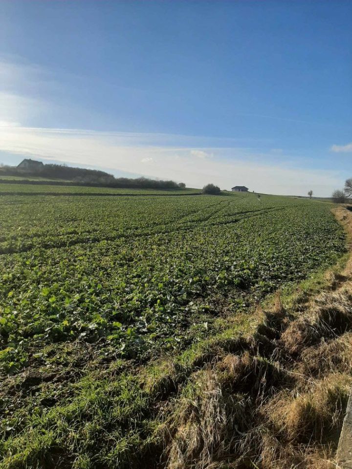 Działka budowlana Pułtusk. Zdjęcie 8
