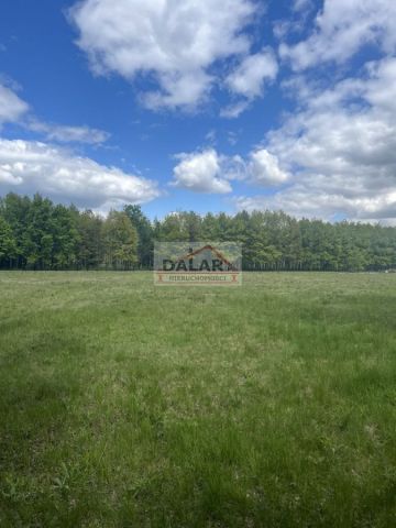 Działka budowlana Korzeniówka. Zdjęcie 4