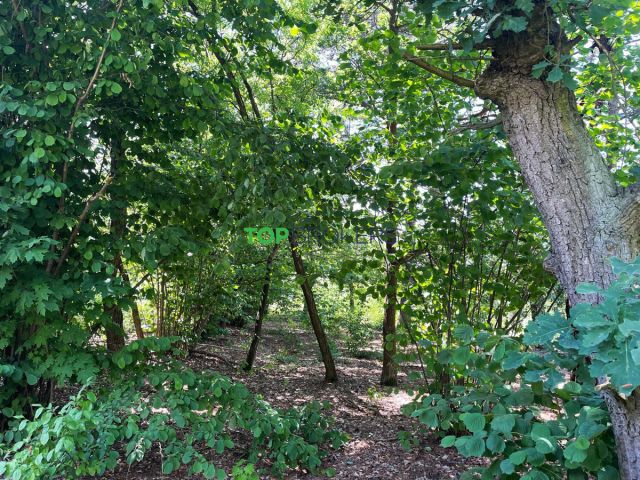 Działka budowlana Józefów. Zdjęcie 6