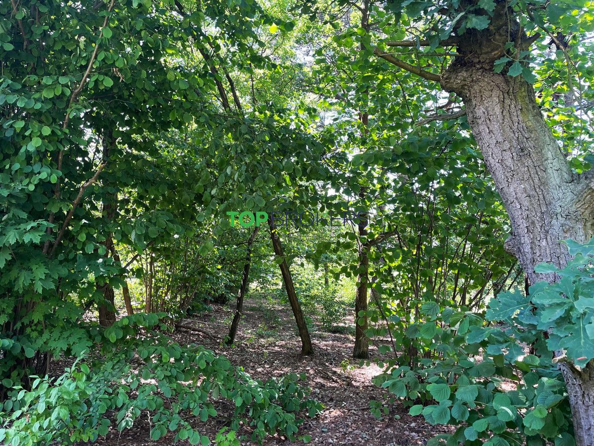 Działka budowlana Józefów. Zdjęcie 6