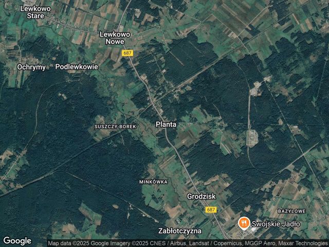 Działka leśna Planta. Zdjęcie 1