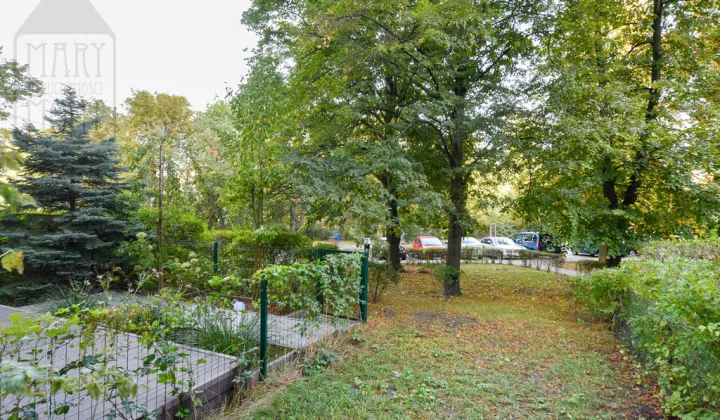 Mieszkanie 1-pokojowe Warszawa Żoliborz, ul. Braci Załuskich