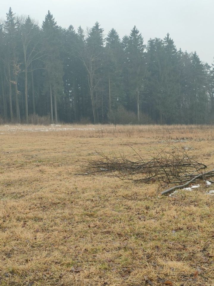 Działka rolno-budowlana Ponikwa. Zdjęcie 7