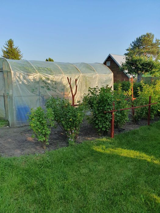 Działka rod Braniewo. Zdjęcie 8