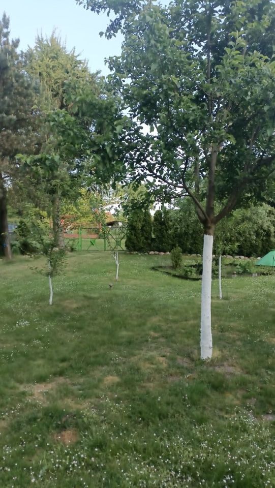 Działka rod Guty. Zdjęcie 3