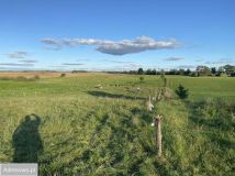 Działka budowlana Jeziorowskie. Zdjęcie 4