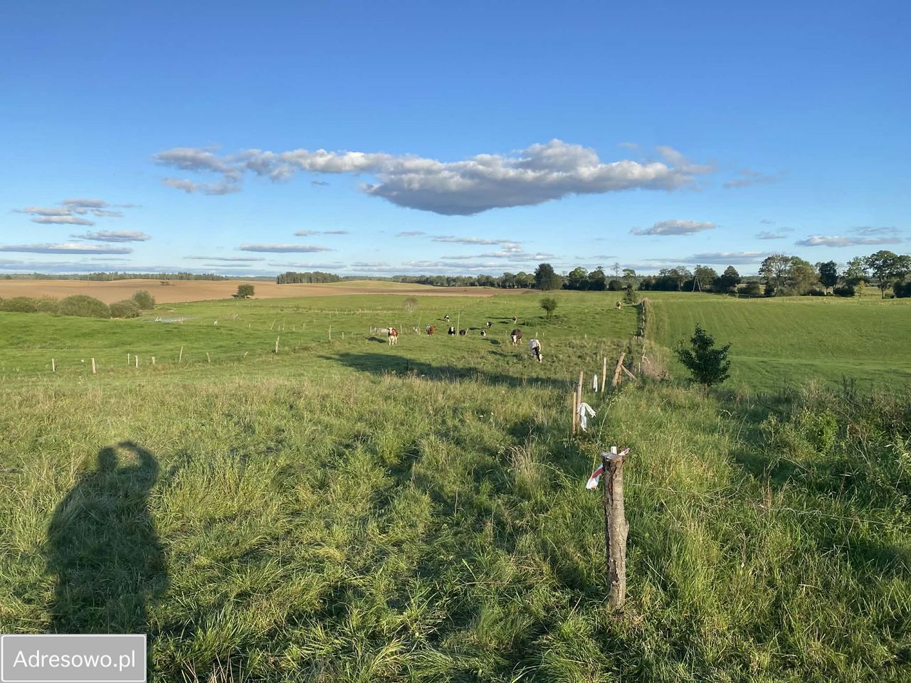 Działka budowlana Jeziorowskie. Zdjęcie 5