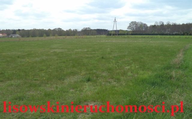 Działka budowlana Janów. Zdjęcie 1