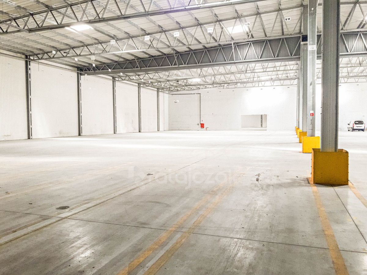 Hala/magazyn Pruszcz Gdański. Zdjęcie 11