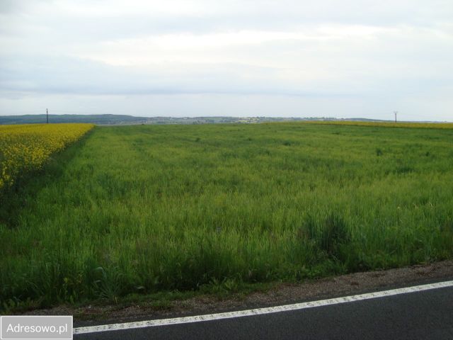 Działka Lipna Wola. Zdjęcie 1