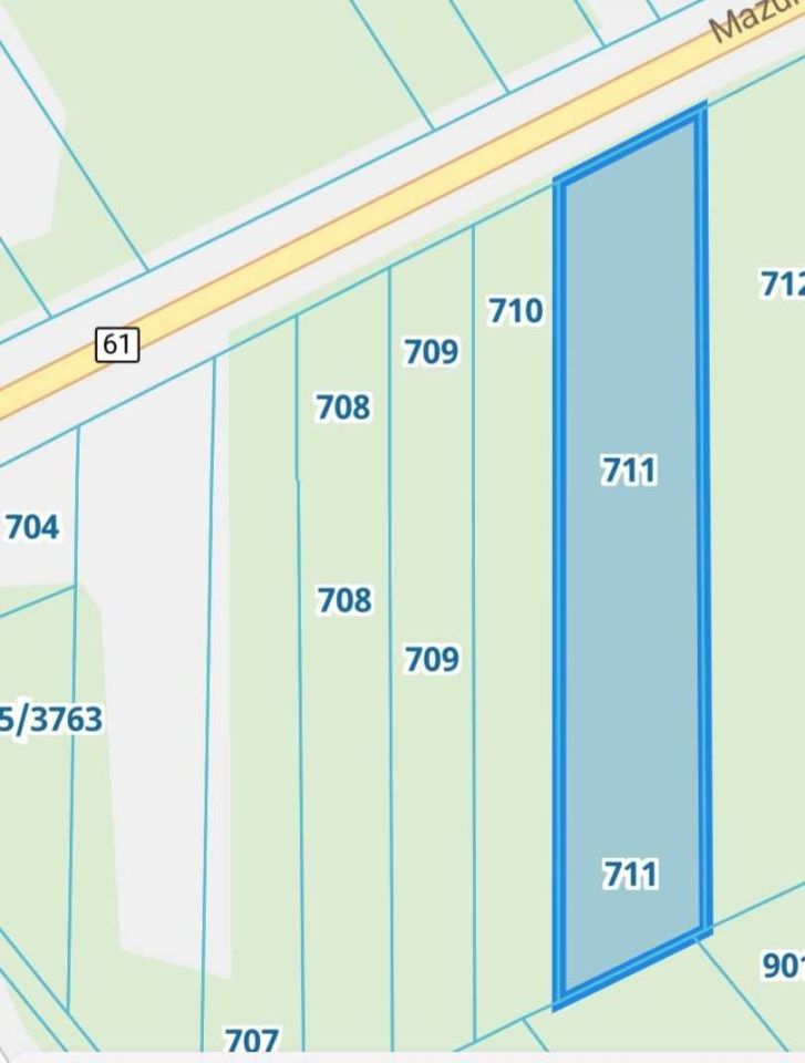 Działka leśna Laskowiec. Zdjęcie 2