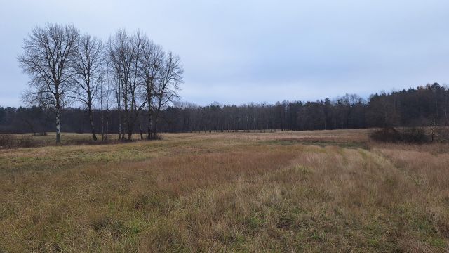 Działka rolna Mariankowo. Zdjęcie 3