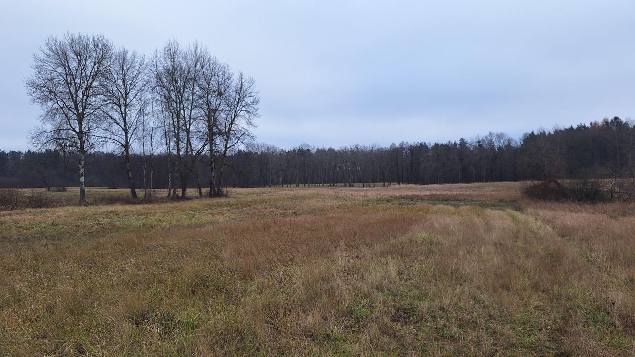 Działka rolna Mariankowo. Zdjęcie 3
