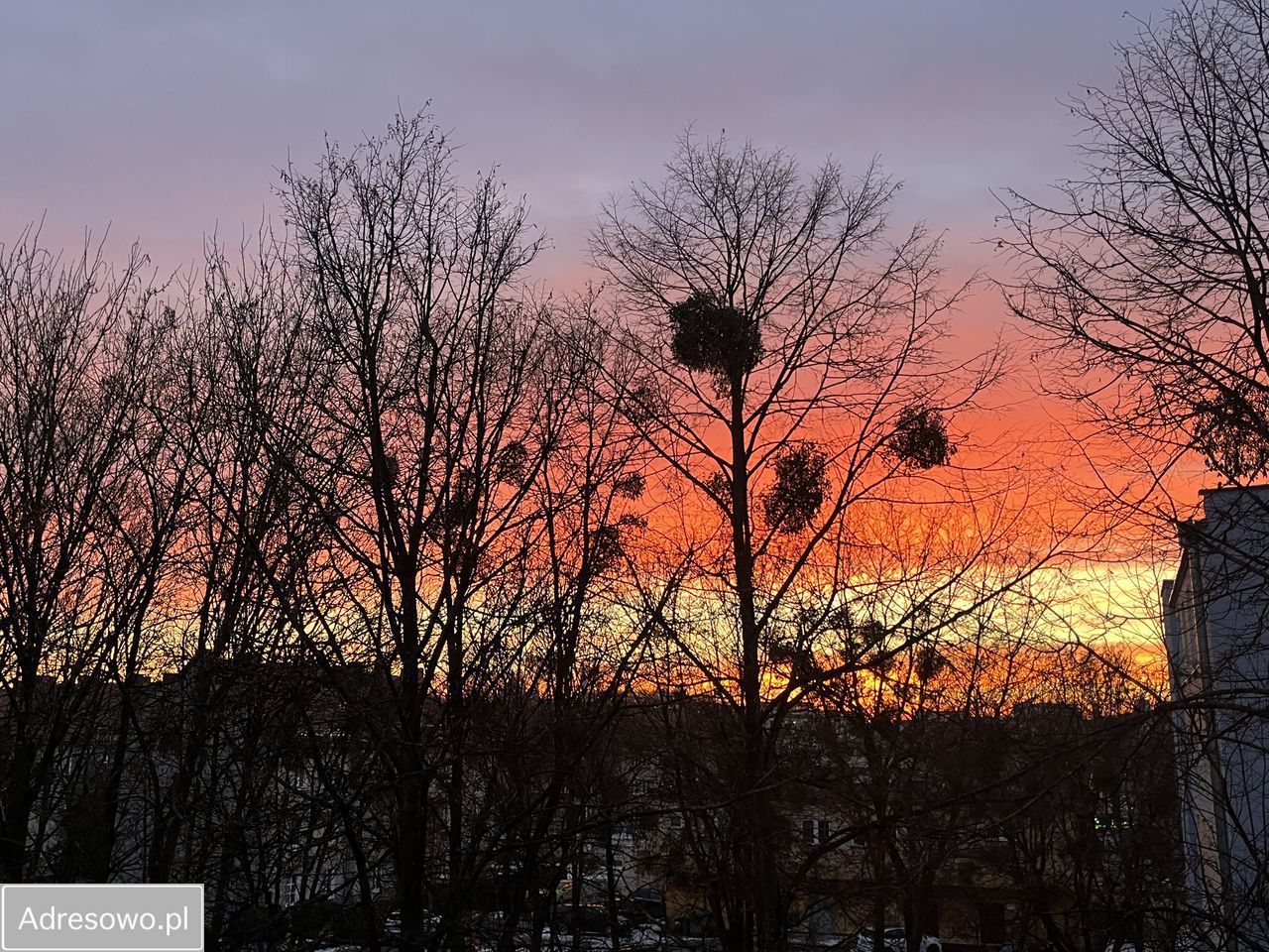 Mieszkanie 2-pokojowe Chełm, ul. Wołyńska. Zdjęcie 3