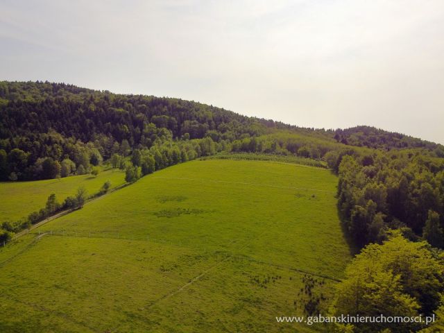 Działka budowlana Słona. Zdjęcie 1