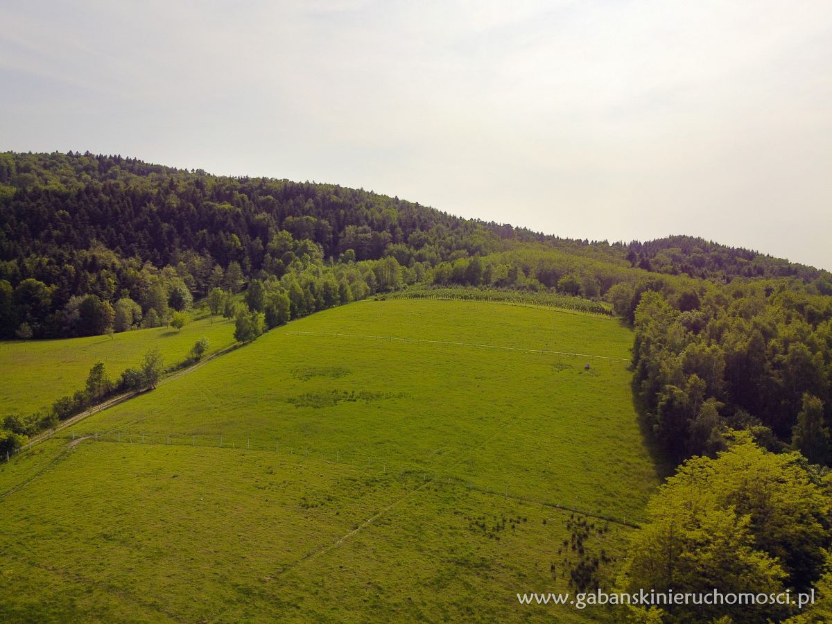 Działka budowlana Słona. Zdjęcie 1