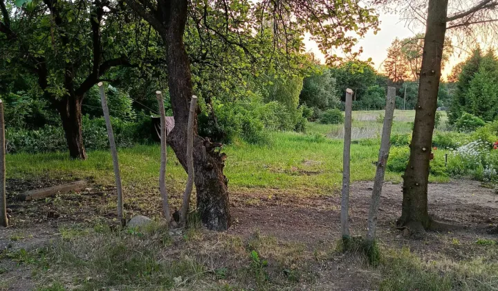Działka rolno-budowlana Mazuchówka