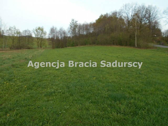 Działka rolno-budowlana Zagórzany. Zdjęcie 1