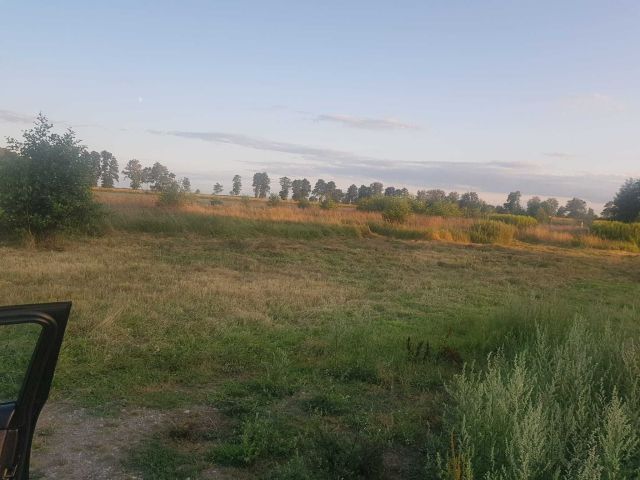 Działka rolno-budowlana Borzysławiec. Zdjęcie 1