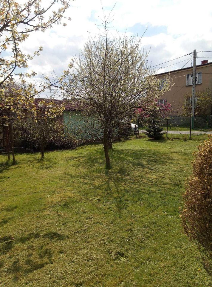 Działka rod Gierałtowice. Zdjęcie 3